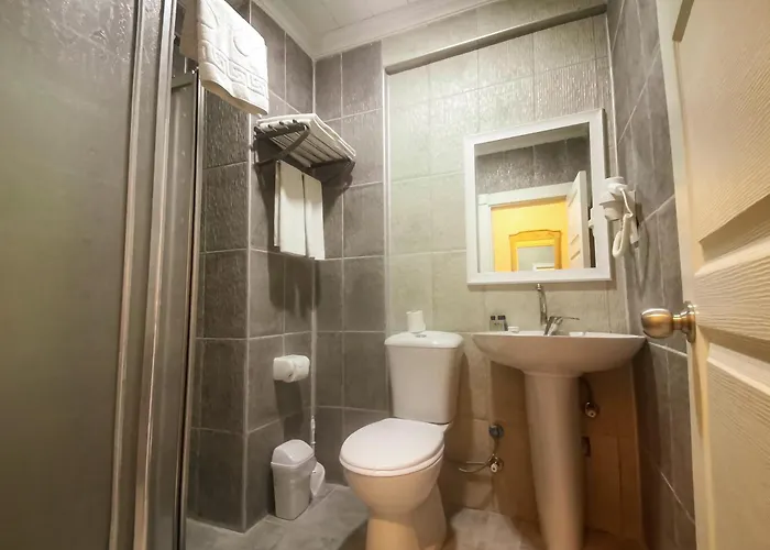 Spring ホテル シダ